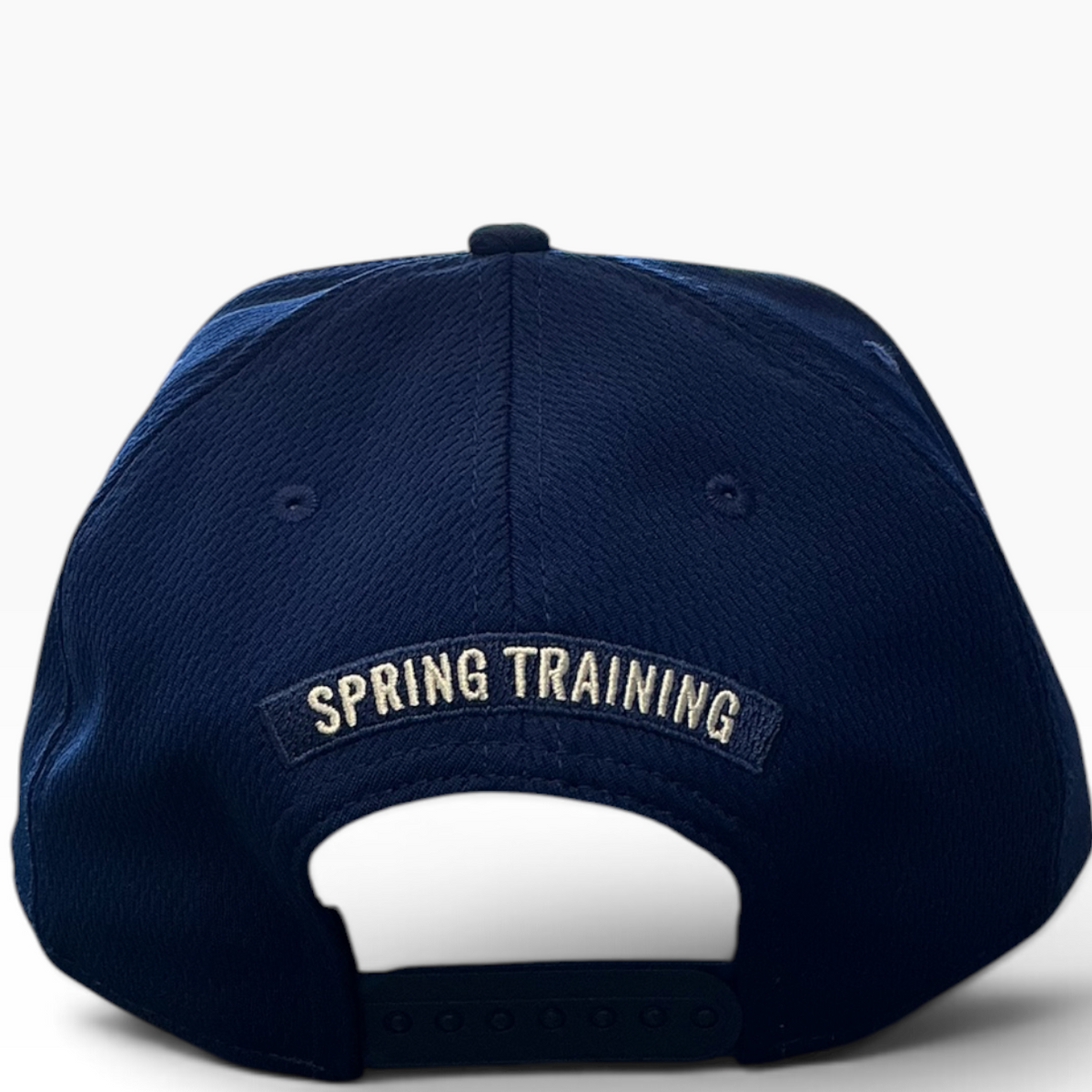 Dodgers cactus Spring Training snapback - side view
