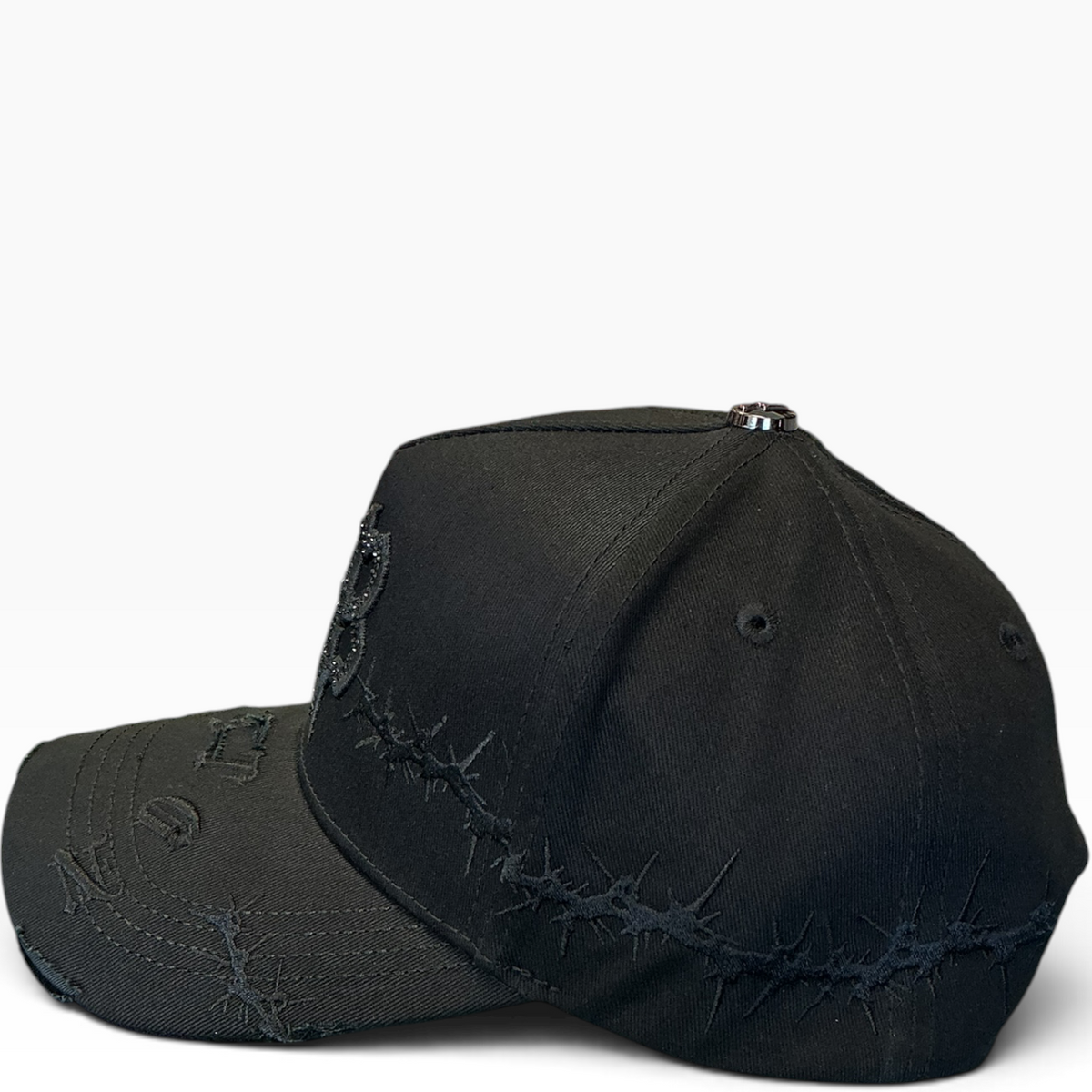 SB barbed wire snapback - back view