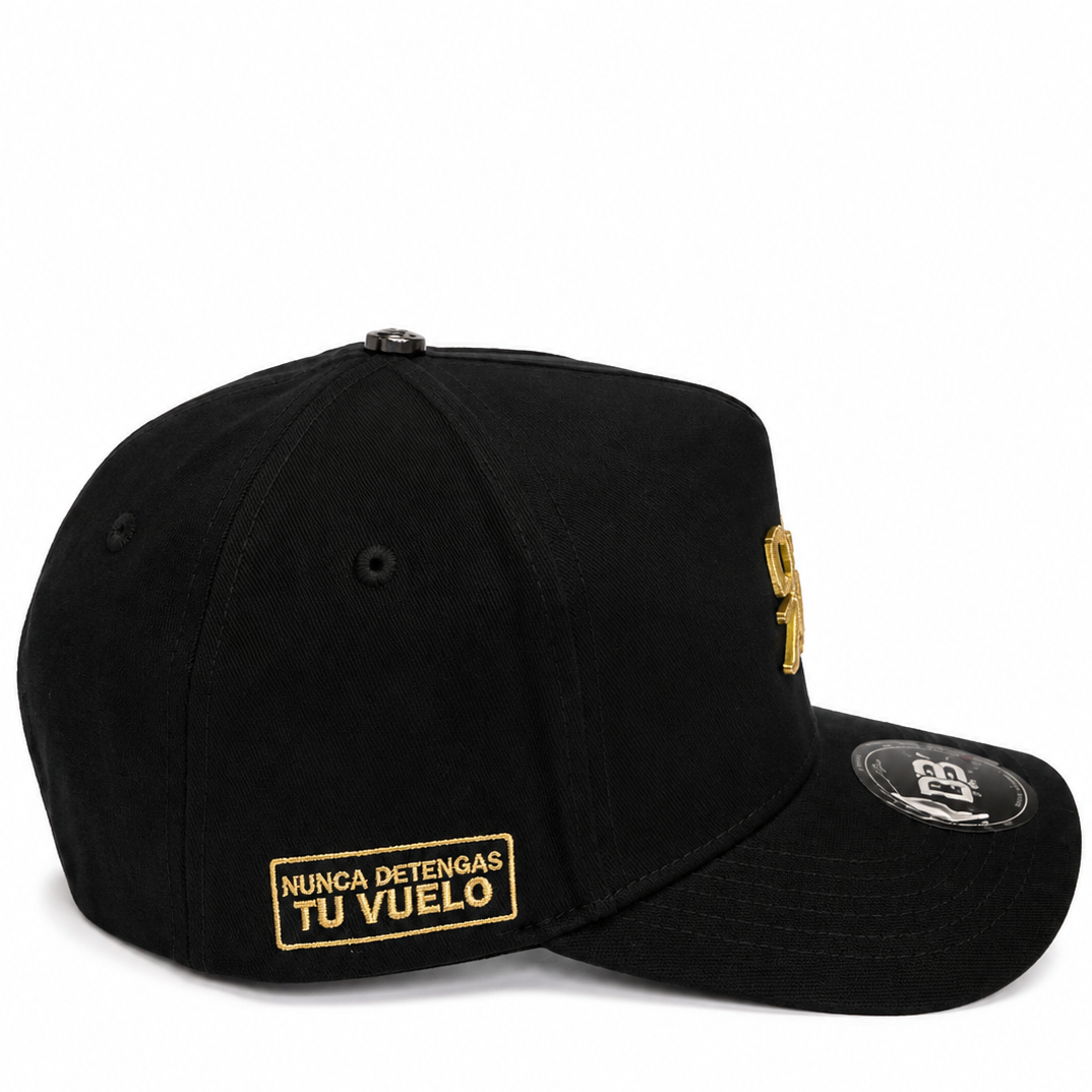 DB airplane snapback - alternate angle